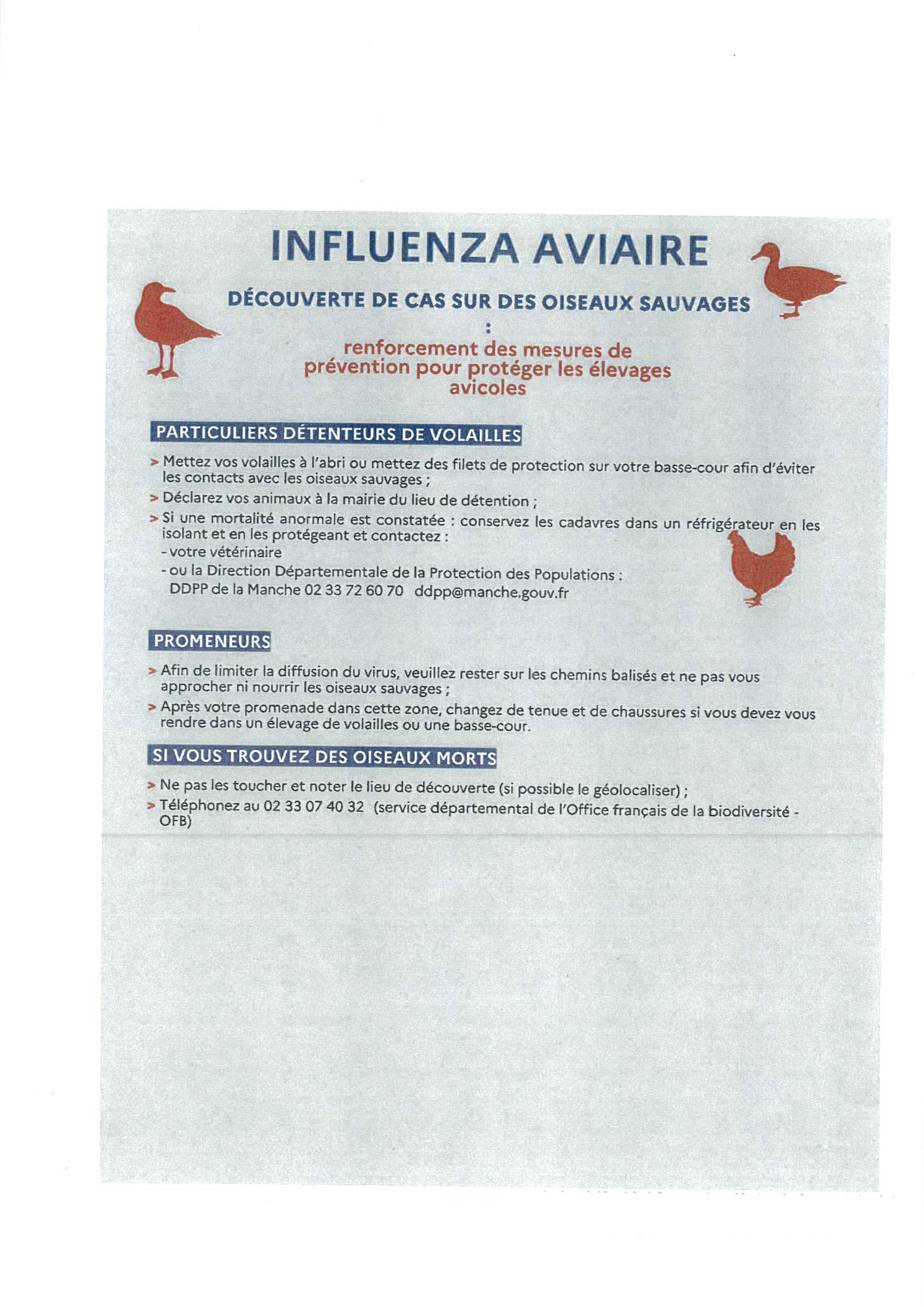 influenza aviaire cas oiseaux sauvages 2023.12.26 0001